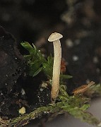 IMG_2863