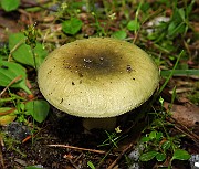 IMG_1047