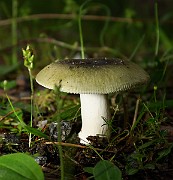 IMG_1049