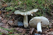 IMG_1505