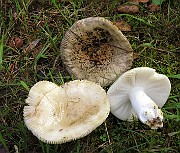 IMG_7789