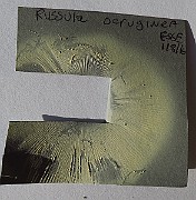 SporePrint_0982