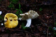 IMG_2213