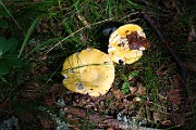IMG_3755
