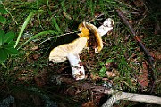 IMG_3756