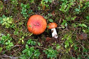 IMG_1845