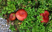 IMG_9691