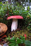 IMG_9693