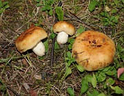 IMG_1712