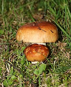 IMG_1713