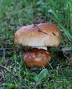 IMG_1714
