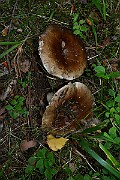 IMG_2047