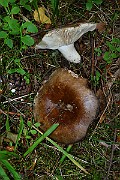 IMG_2054