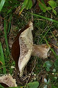 IMG_2057