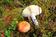 IMG_1038