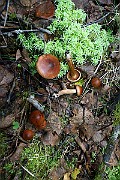 IMG_2429