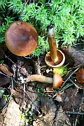 IMG_2430