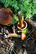 IMG_2431