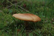 IMG_0094