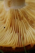 IMG_0108