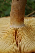 IMG_0112