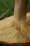 IMG_0113
