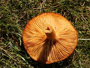 IMG_0178