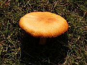 IMG_0179