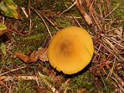 IMG_0911