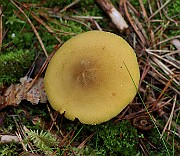 IMG_0912