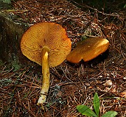 IMG_3759
