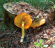 IMG_3760