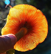 IMG_3764