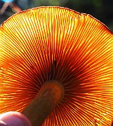 IMG_3765