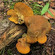 IMG_7738