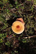 IMG_1160