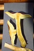 IMG_9656
