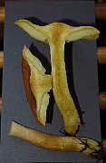IMG_9659