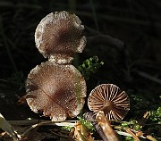 IMG_9883