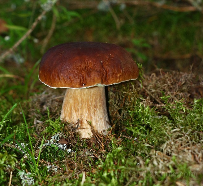 IMG_2493.JPG