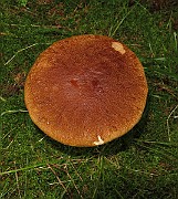 IMG_7678