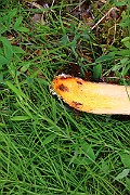 IMG_0104