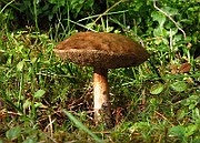 IMG_1973