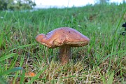 IMG_5818