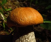 IMG_2061