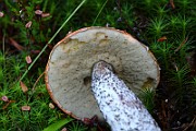 IMG_2143