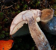 IMG_2151