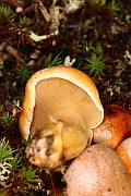IMG_0380