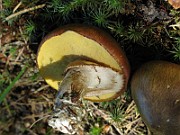 IMG_8084