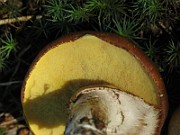 IMG_8085